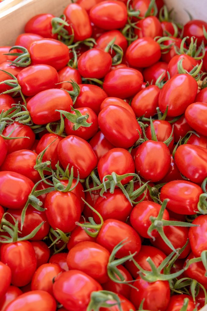 Tomates cerises allongées bretonnes Yodee
