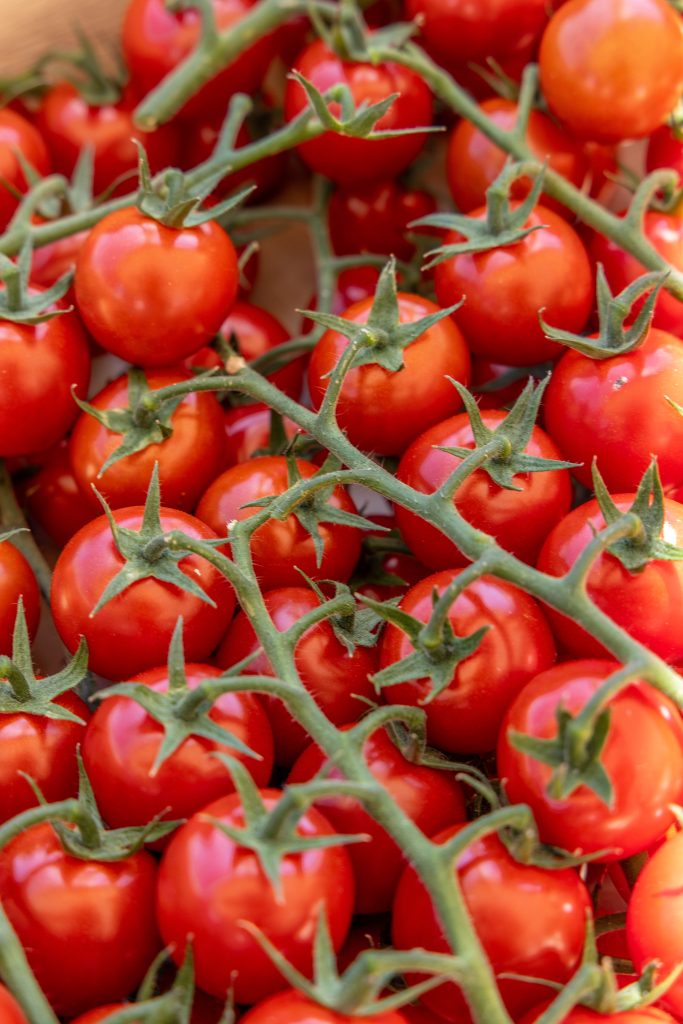 Tomates cerises grappe bretonnes Yodee